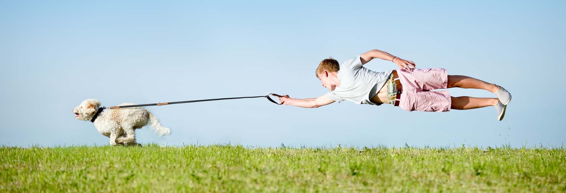 Alles zum Thema Leinenpflicht